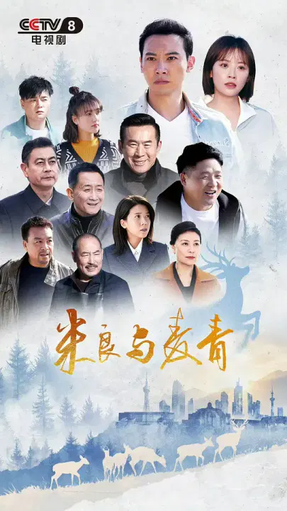 【国产剧】米良与麦青